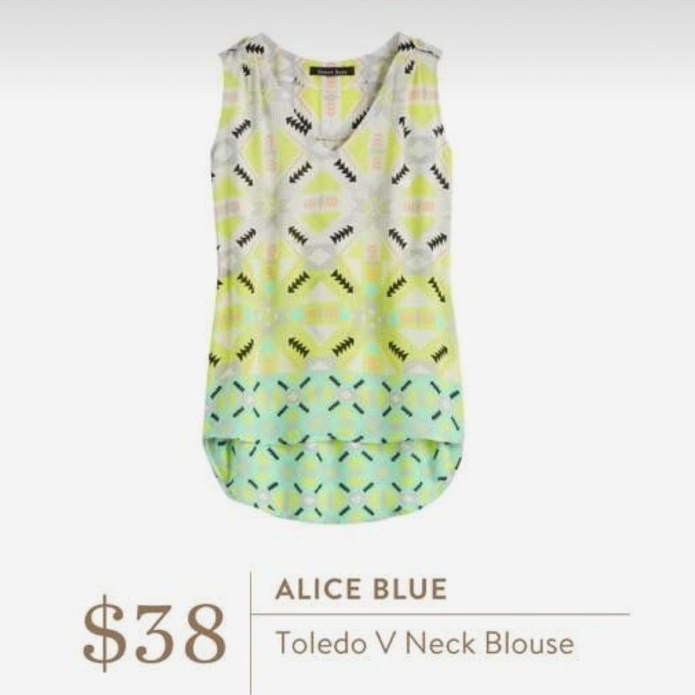 Alice blue for stitch fix Toledo V neck blouse sz L